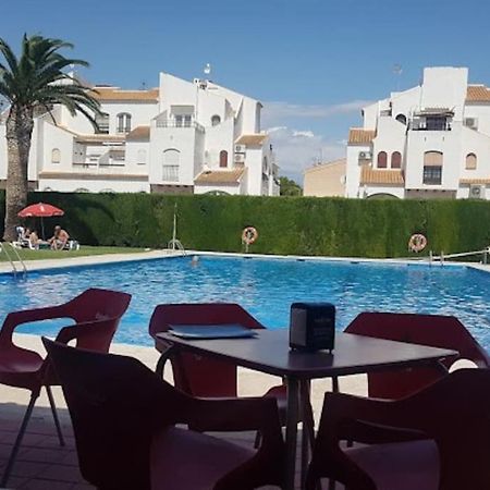Alex Bungalow Daire Torrevieja Dış mekan fotoğraf