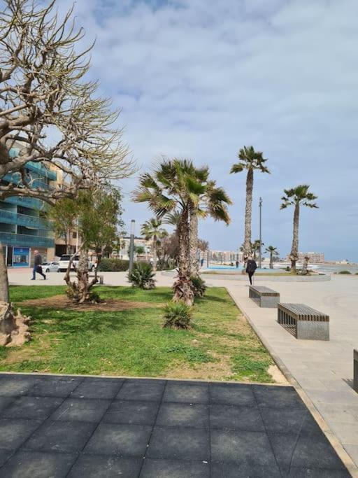 Alex Bungalow Daire Torrevieja Dış mekan fotoğraf